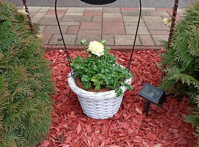 Apartment Zalan Apartmann